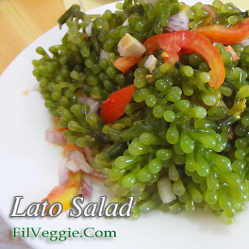 Lato Salad