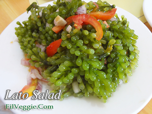 Lato Salad