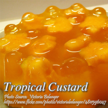 Tropical Custard Pin It!